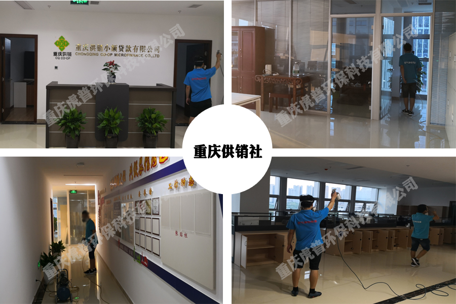 �·�����ȩ��˾