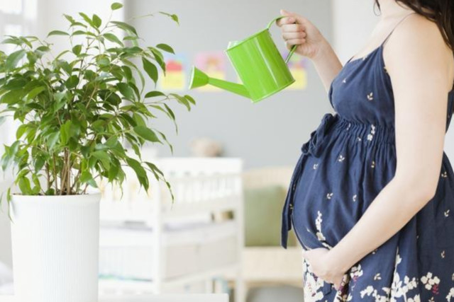 室內(nèi)甲醛治理頑固難除,這兩種人最容易受傷!