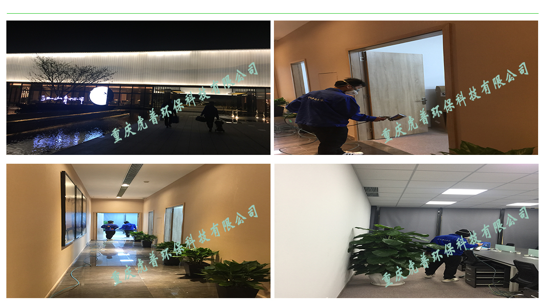 �Ϻ���ȩ����